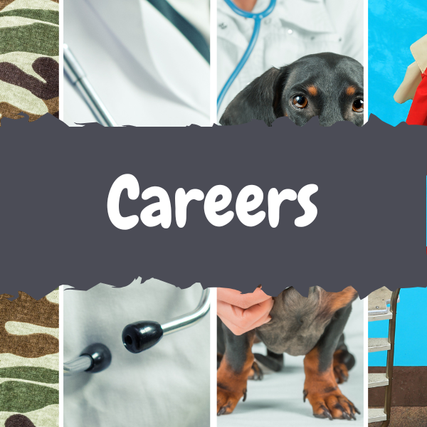 Careers