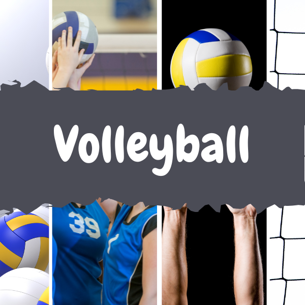 Volleyball