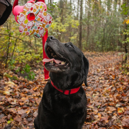 Dog Waste (Poop) Bag Holder